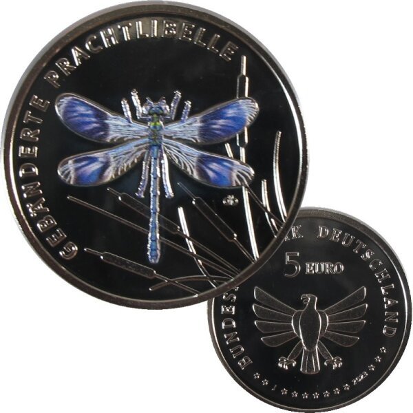 Deutschland 5 Euro 2023 Libelle pp